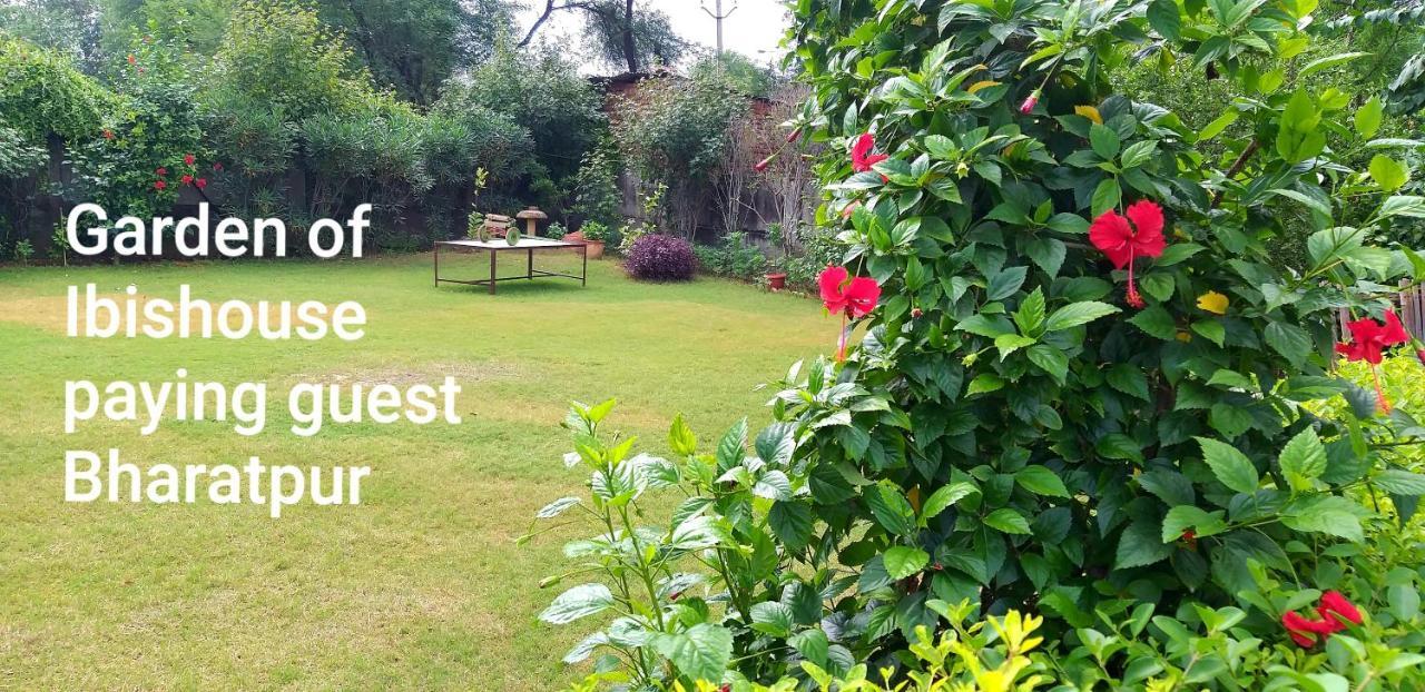 בהאראטפור Ibishouse Farm Stay מראה חיצוני תמונה