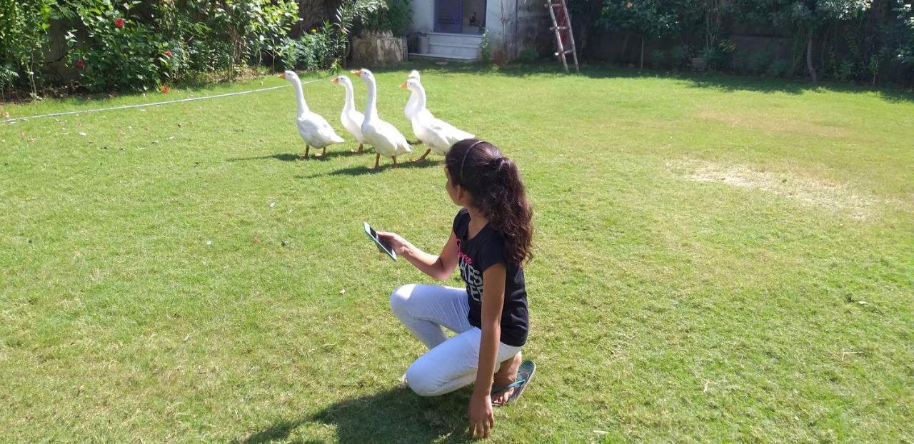בהאראטפור Ibishouse Farm Stay מראה חיצוני תמונה