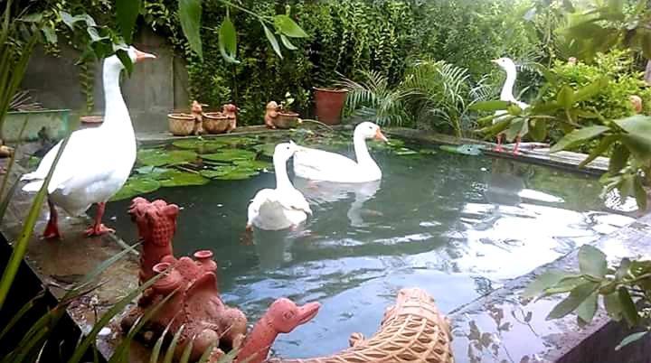 בהאראטפור Ibishouse Farm Stay מראה חיצוני תמונה