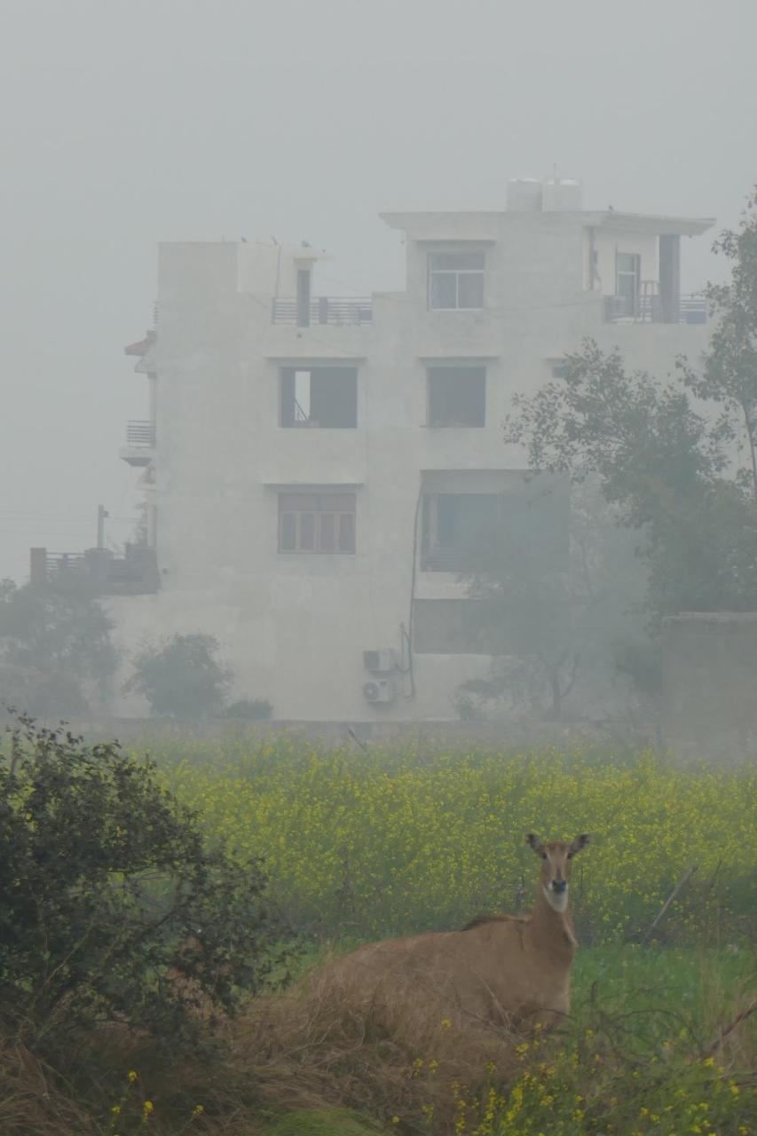 בהאראטפור Ibishouse Farm Stay מראה חיצוני תמונה